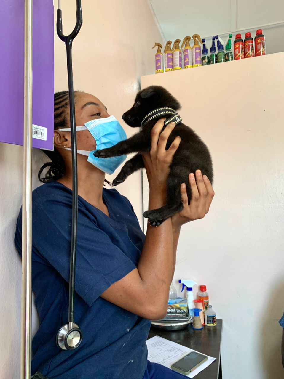 Best Veterinary Clinic in Ajah Lagos